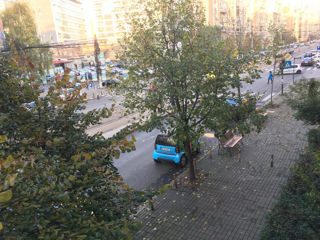 Green Apartment Appartamento Bucarest